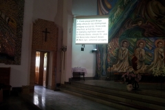 Borowo2