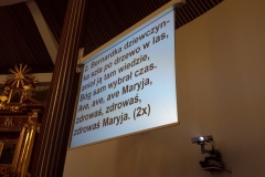Kazimierzówka1