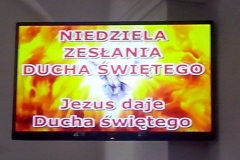 Niewachlów9