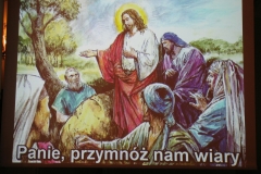 Milejów2