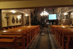 Wąsoż8